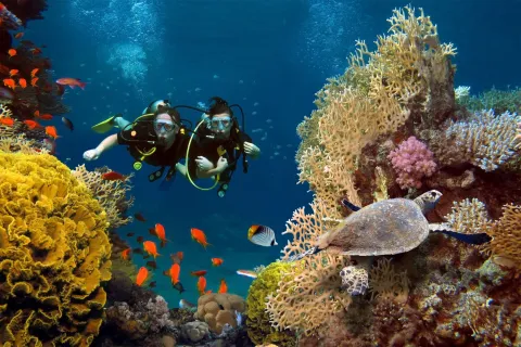 Snorkeling Trip to Giftun Island from Hurghada