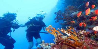 Full-day Diving Boat Trip from Sharm