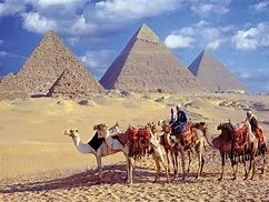 Tour to Cairo Pyramids, Museum from El Sokhna