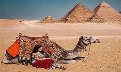 Trip to cairo from Sharm by plane